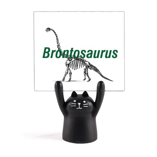 ̌^XPg J[gD[LX^h^z_[