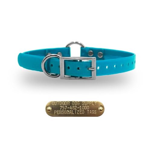 Outdoor Dog Supply Personalized 3/4&rdquo; Teal Waterproof D-Ring & Center O-Ring Dog Collar for Small & Medium Dogs | 3/4" Custom Brass Nameplate (18")
