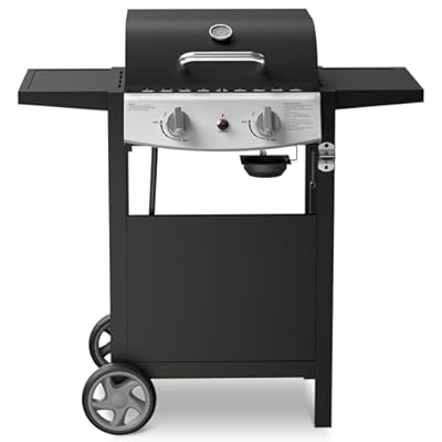 21000 BTU Propane Gas Grill with 2-Burner,325 sq.in Outdoor BBQ Grill for Barbecue Cooking with Top Cover Lid,Wheels,Side Storage Shelves,Barbeque Stove for Patio Garden Camping,Black