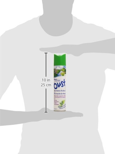 Oust Purificatore d'Aria - 300 ml