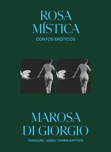 Rosa mística: Contos eróticos