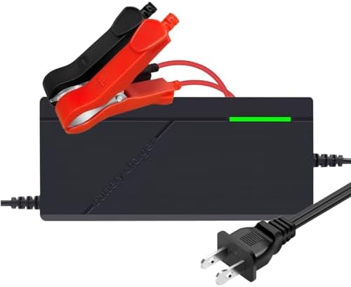12V 3A Lithium Battery Charger 14.6V LiFePO4 Battery Charger, Bat...