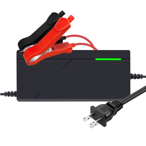 12V 3A LiFePO4 Smart Charger