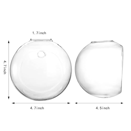 Yarlung YA-WALLMOUNTPLANTERTERRARIUM-6PC Set Of 6 Wall Hanging Planters Terrarium, 4.7 Inch Glass Oblate Globe Plants Containers Wall Mount Clear Flower Vase thumb #2