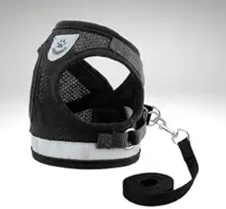 Coleira Pet Peitoral Refletível Com Guia para Cães Regulável Confortável para Cachorro (XL (GG), Preto)