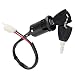 Wingsmoto Ignition Key Switch Lock 2 Wire Electrical Scooter 2 Position