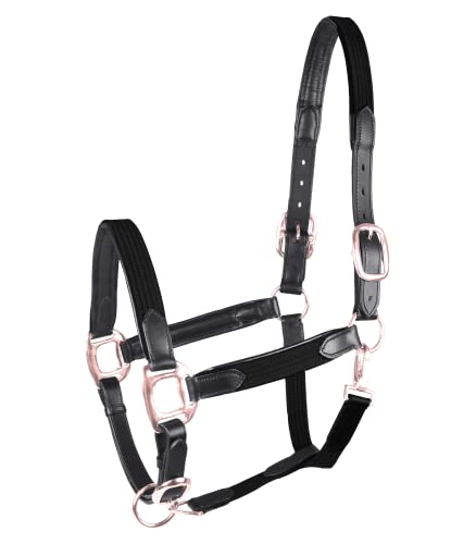 Licol Waldhausen Star noir roségold taille pur-sang équipement cheval licol nylon réglable VB
