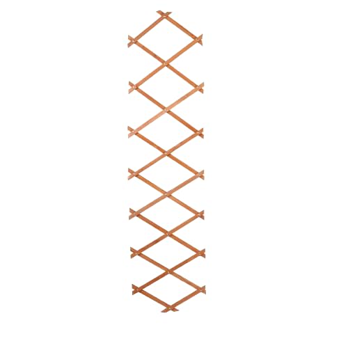 SUNNYDAYS Mi jardín - Malla de Madera Extensible (180 x 30 x 0,7 cm)