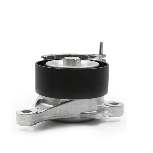 Tendeur de courroie anti-vibration poulie Peugeot 307 2.0