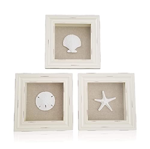 Beachy Set of 3 Shell Shabby Chic Shadow Boxes- Creamy Off White Frame 7" x 7" - Starfish, Sand Dollar and Clam Shell Mounted on Fabric Background by Tumbler Home - Image 5