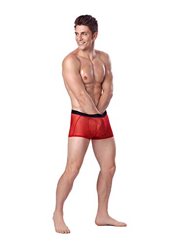 Evankin Men's Sexy Mesh Boxer Briefs Transparent Lingerie Sexy Red Groom Boxer Briefs Mesh Transparent Bulge Pouch Underpants(45Red,Xxxl) #TOP4