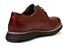Cole Haan Mens Originalgrand Remastered Wing Tip, Woodbury/Java, 11-M US