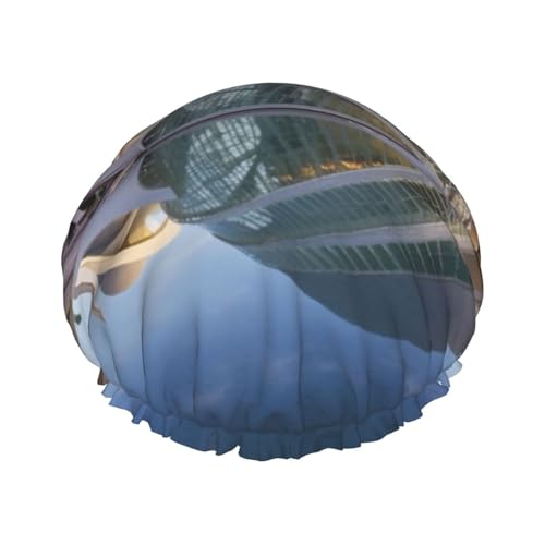 City of the Arts and the sciencesV[Lbv _uC[ h C V[nbg ėp\ Lk wALbv fB[X Y