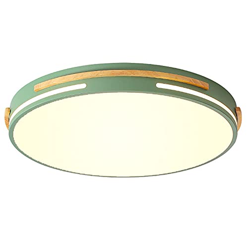 Plafonnier LED moderne facile à installer Marca Dragon vert salon 42cm