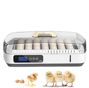 Incubadora automática de huevos con pantalla digital para temperatura y humedad, volteador automático de huevos para pollos, patos y gansos, criadora de aves de corral totalmente automática