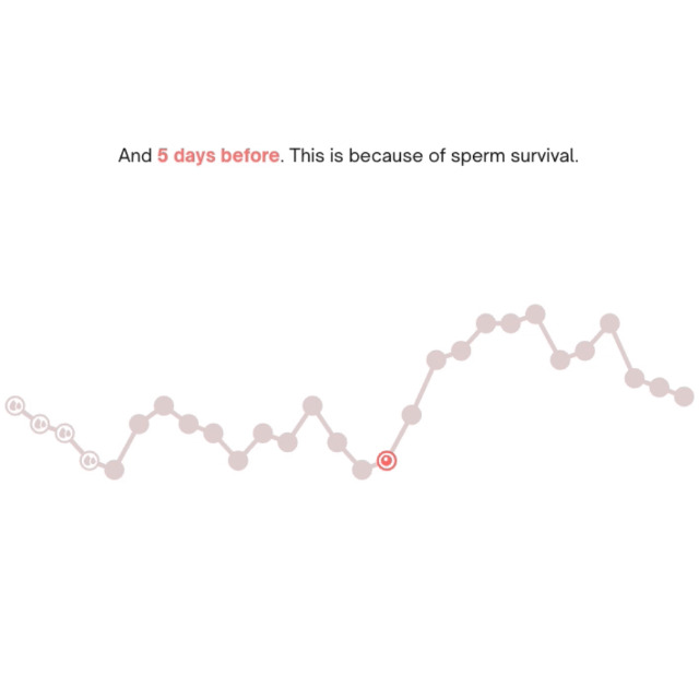 Image of Natural Cycles 12 Month Subscription - Digital Birth Control with Basal Body Thermometer - Fertility Management App- (iOS and Android)