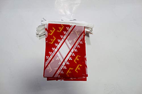 AZ FLAG Alsace Bunting Flag, 20 Ft Garland 20 Small Alsace Flags 8'' x 6'', 100% Polyester String Pennant, 6 meters