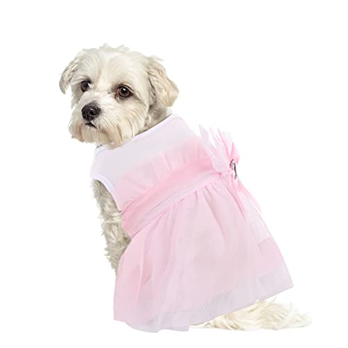 Hunde-Sommerkleid, Prinzessin, Tutu-Rock, süßes Hundekleid Cover