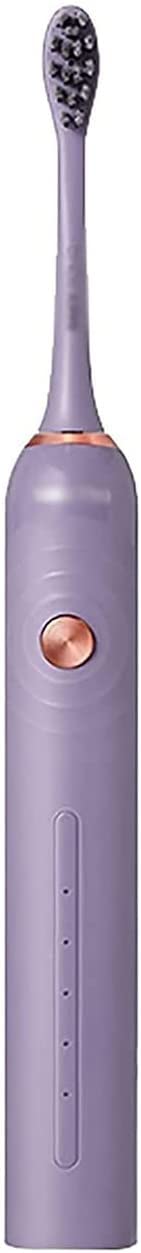 Spazzolino Elettrico, spazzolini elettrici con 2 Teste di spazzole, 4 Ore di Carica negli Ultimi 60 Giorni, spazzolini Ricaricabili di Potenza for Adulti e Bambini (Color : Purple)
