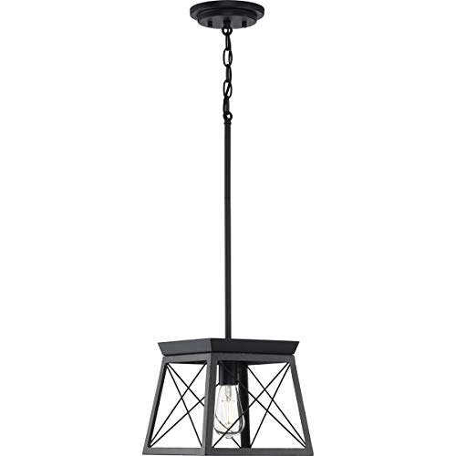 Image of Progress Lighting P500041-031 Briarwood Pendants, Ceruse Black 9.00x10.00x10.00