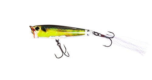 R1304-RGSN 3Dr Popper, Color, Real Golden Shiner, 65mm 2-5/8"