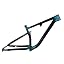 Chameleon 13 black