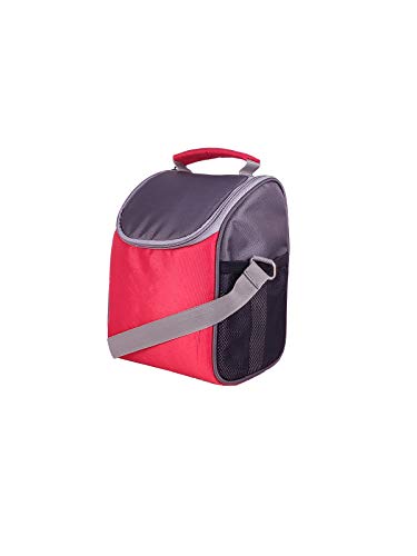 Foonty Office Use Women Waterproof Lunch Bag/Tiffin Bag(Black,FFFLB8021C)