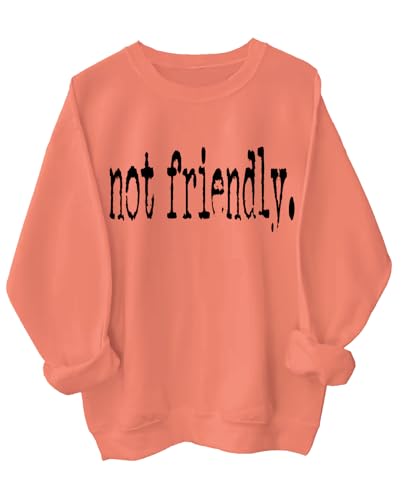Not Friendly Sweatshirt Not Friendly Do Not Touch Sweatshirt Not Friendly Typography Shirt
