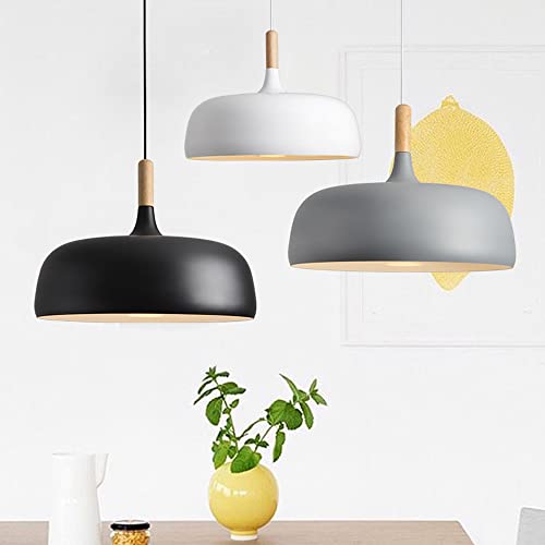 Luminaires pendentifs de plafond avec cordon de 120 cm réglable - 3