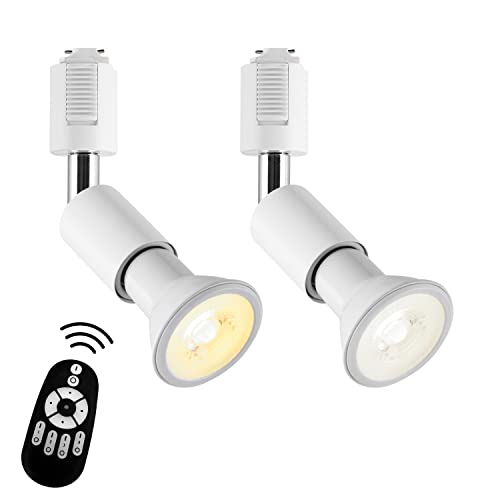 LVWIT ダクトレールライト LEDスポットライト E26口金 LED電球付き 調光調色 消費電力6W(40W形相当) リモコン付き 遠隔操作 ビーム電球 ライティングレール 天井照明 角度調節可能 昼光色 昼白色 電球色 常夜灯 ホワイト 2個セット(