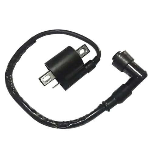 Bobina encendido CDI para scooter de 125 a 250cc, motos, ATV y karts con estátor