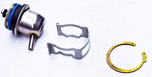 Amazon.com: General Motors 19245530, Fuel Injection Pressure  