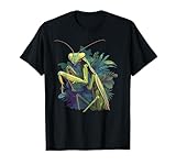 Mantis religiosa Animal