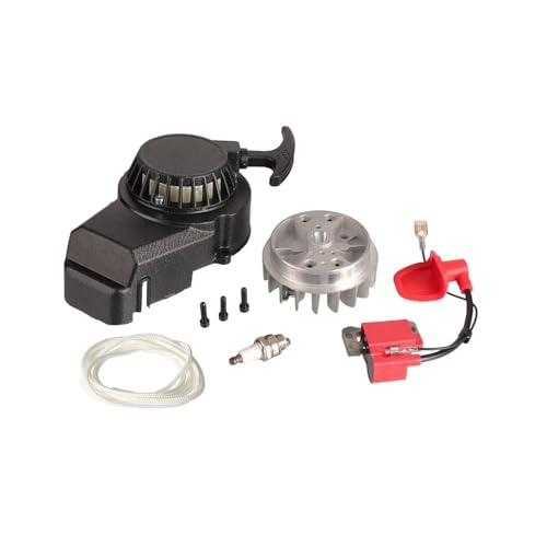 RCvX^[gtCzC[ 47cc 49cc 2Xg[NGWgNXATVANZT[ɓK(A)