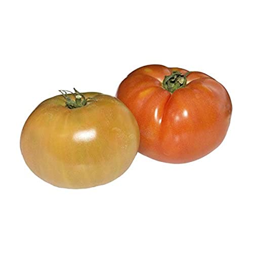 Tomate ensalada - 1 unidad, 250 gramos