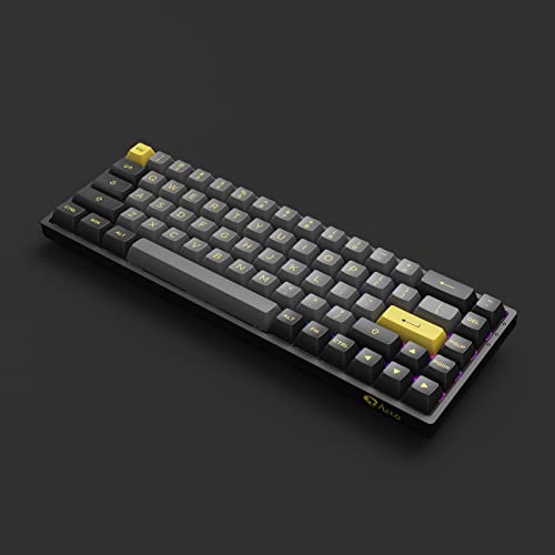 Akko 3068B Plus 65% Percent 68-Key Rgb Hot-Swappable Mechanical Gaming Keyboard, 2.4G Wireless/Bluetooth/Wired With Pbt Double-Shot Keycaps For Mac & Win (Black & Gold, Jelly Purple Switches) #TOP4