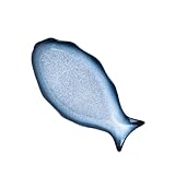 Plat de service en forme de poisson : plat en céramique en forme de poisson de 12 pouces, plus de commodité pour la cuisine quotidienne, plateau de service en forme de poisson