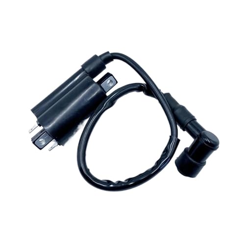 Bobina de encendido de moto y ATV para modelos Feishen G300 H300 y Stels