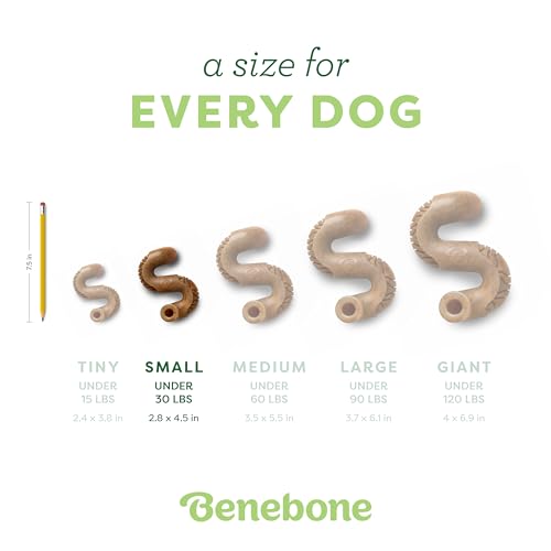 Image of Benebone Tripe Bone Durable Dog Chew Toy for Aggressive Chewers, Real Tripe, Made in USA, Small