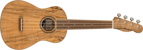 Fender Zuma Exotic Concert Ukulele Spalted Maple - Ukulele Concerto