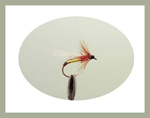 Set Di 40 Mosche Da Pesca A Mosca, Esche Artificiali Con Fly Box - Foto 6