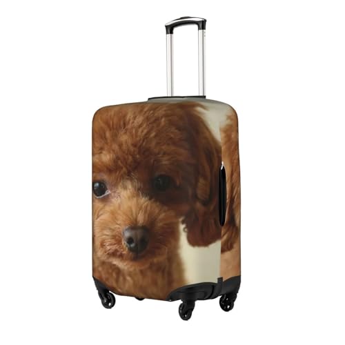 [RFSHOPQN] ubN gCv[h LN^[ObYAjLkX[cP[XJo[ וJo[ X[cP[XveN^[ gNpho ϋv Lkf  h~ (M)