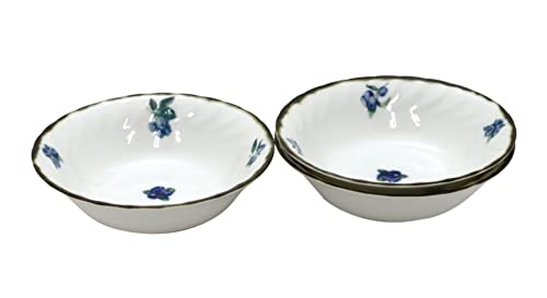 キャッスルエンタープライズ 昭和レトロな浪漫食器シリーズ 【17p オートミール】(果実ブルーべリー)3枚セット