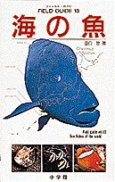 Fish of the sea (Field Guide) (1994) ISBN: 4092080131 [Japanese Import]