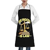 Delantal Cocinade El Debido Proceso Es Ley. Delantal De Jardín Personalizado Divertidos Cocinero Delantale, para Cumpleaños, Barbacoa, Jardinería, 52x72cm