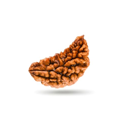 Image of Original 1 Mukhi Original Rudraksha Bead Nepali Origin Lab Certified Symbol of Lord Ganesha Removes Obstacles and Brings Wisdom Meditation, Pooja, Healing for Men & Women