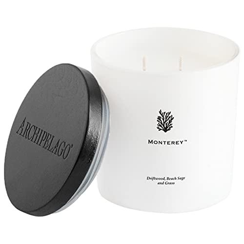 Archipelago Botanicals Monterey Luxe Candle | Driftwood, Beach Sage And Wild Grasses | Coconut Wax Blend And Double Wicks | Burns Approx. 100 Hours (13 Oz) #TOP26