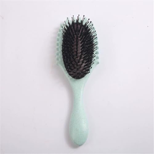 wAuV  R[ GAobOR[ wAr[eB[R[ oEVOR[ GANbV}bT[WR[ jp(2)