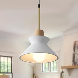 Modern Pendant Light...