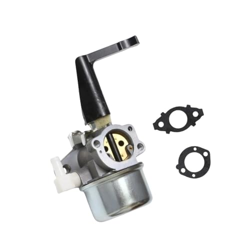 Carburateur de rechange 215369 moteur thermique avec joints BP17A